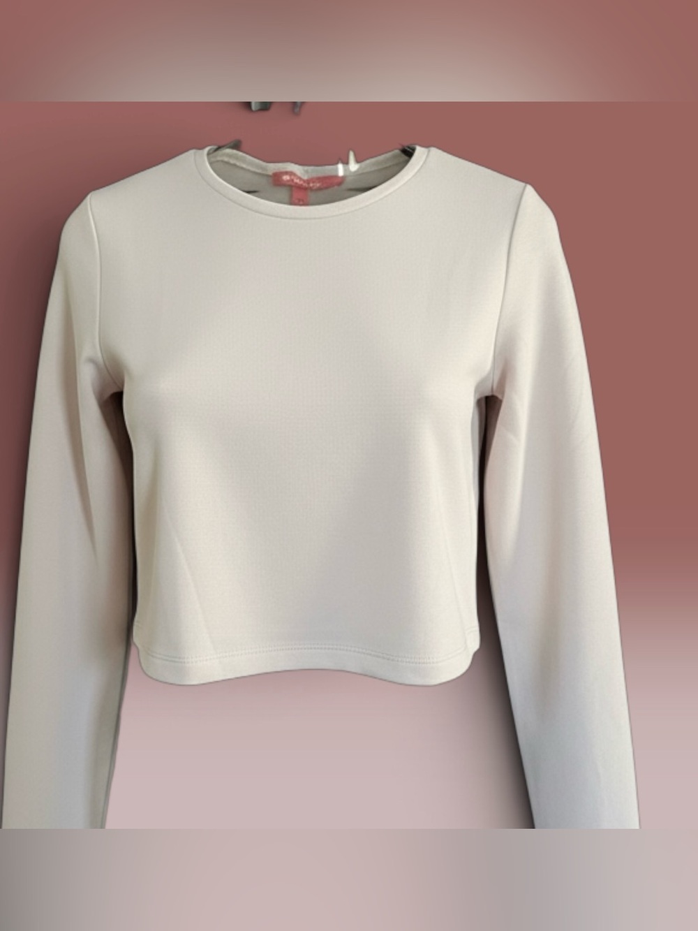 SPANX Light Gray Cropped Long Sleeve Crewneck Top
